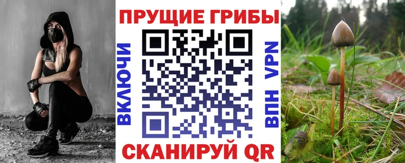 купить наркотик  Архангельск  Псилоцибиновые грибы прущие грибы 