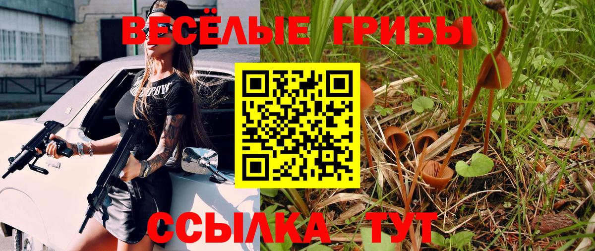 Архангельск  Псилоцибиновые грибы Cubensis  Вход с VPN  Галлюциногенные грибы Psilocybe 