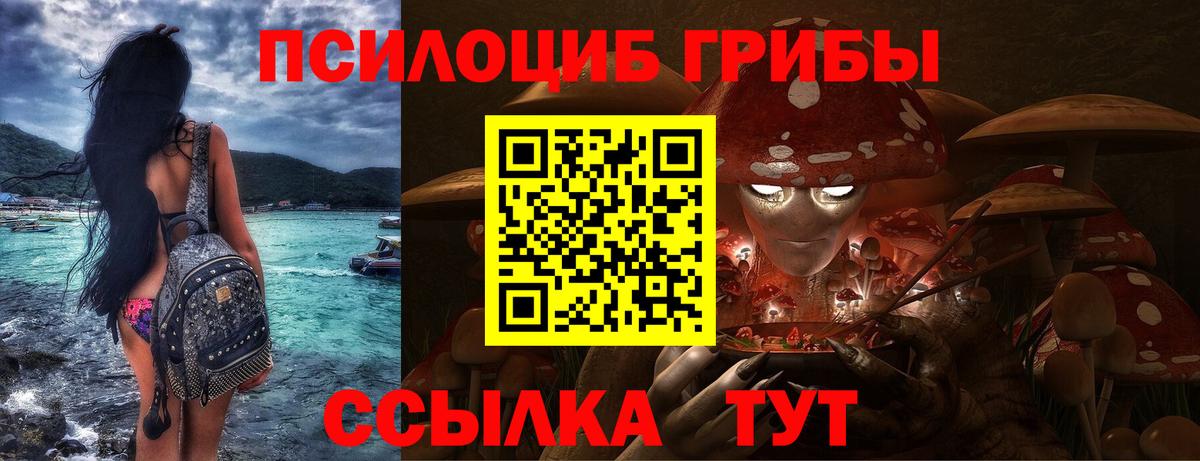 Галлюциногенные грибы мицелий Архангельск