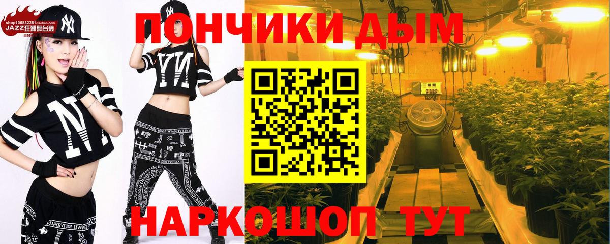 Бошки марихуана конопля Архангельск